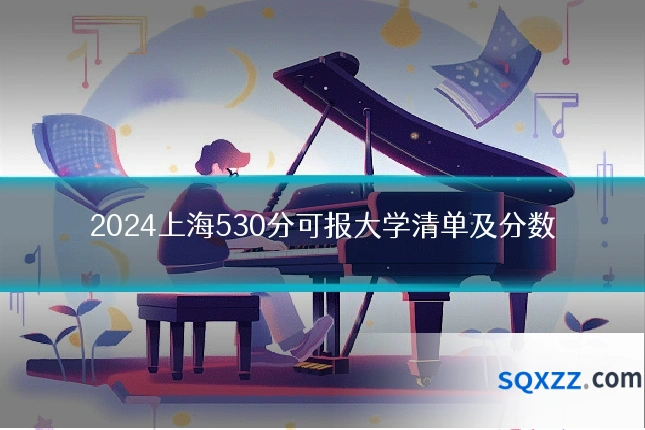 2024上海530分可报大学清单及分数