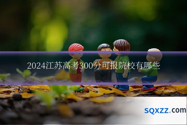 2024江苏高考300分可报院校有哪些