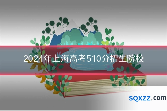 2024年上海高考510分招生院校