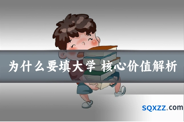 为什么要填大学 核心价值解析