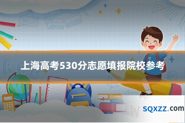上海高考530分志愿填报院校参考