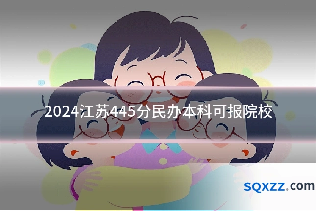 2024江苏445分民办本科可报院校
