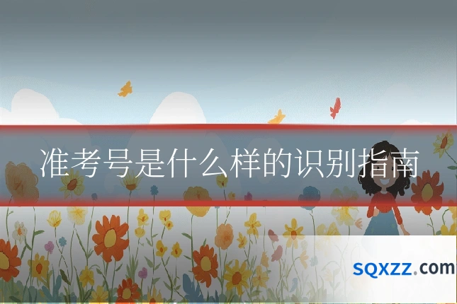 准考号是什么样的识别指南