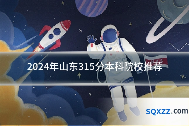 2024年山东315分本科院校推荐