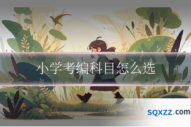 小学考编科目怎么选