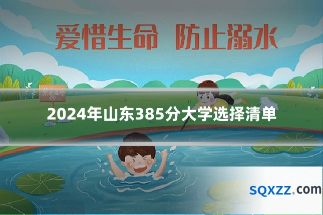 2024年山东385分大学选择清单