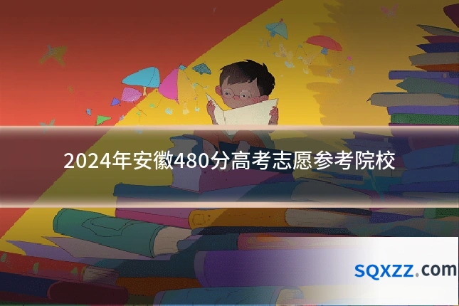 2024年安徽480分高考志愿参考院校