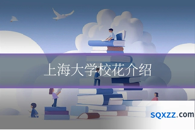 上海大学校花介绍