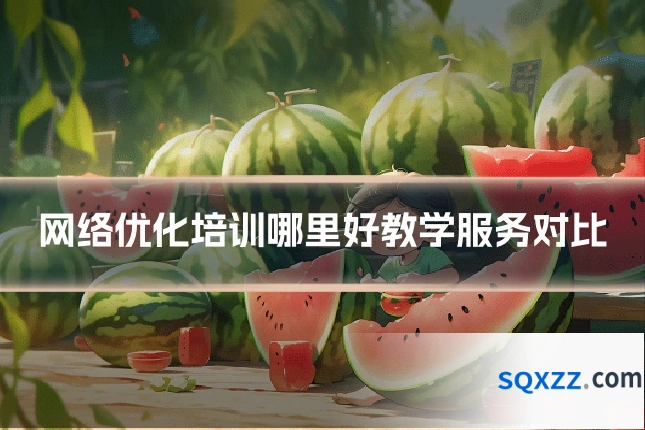 网络优化培训哪里好教学服务对比