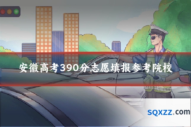 安徽高考390分志愿填报参考院校
