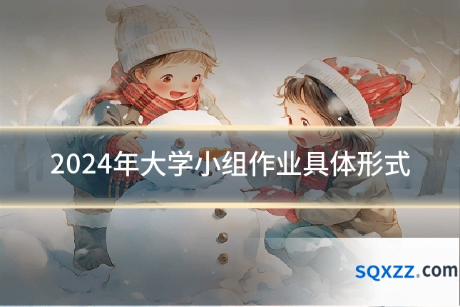 2024年大学小组作业具体形式