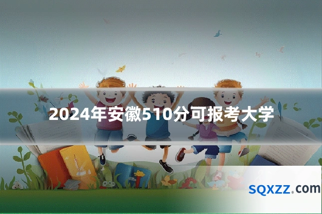 2024年安徽510分可报考大学