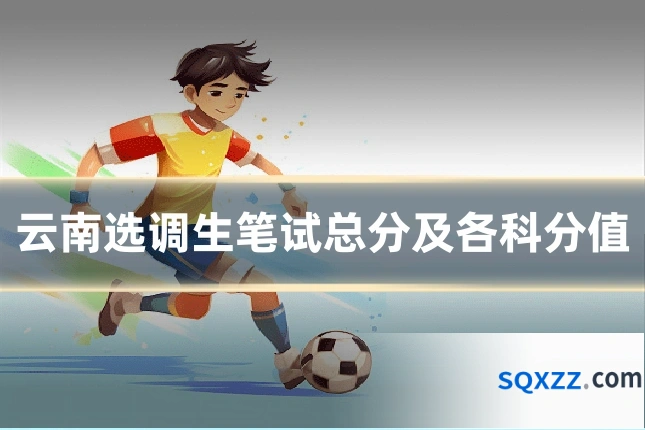 云南选调生笔试总分及各科分值