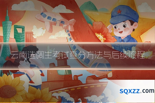 云南选调生考试查分方法与后续流程