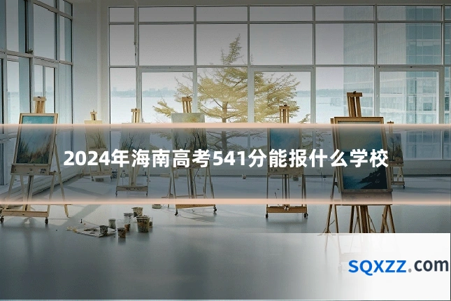 2024年海南高考541分能报什么学校