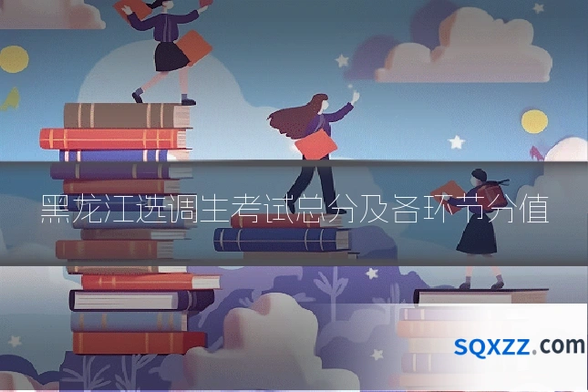 黑龙江选调生考试总分及各环节分值