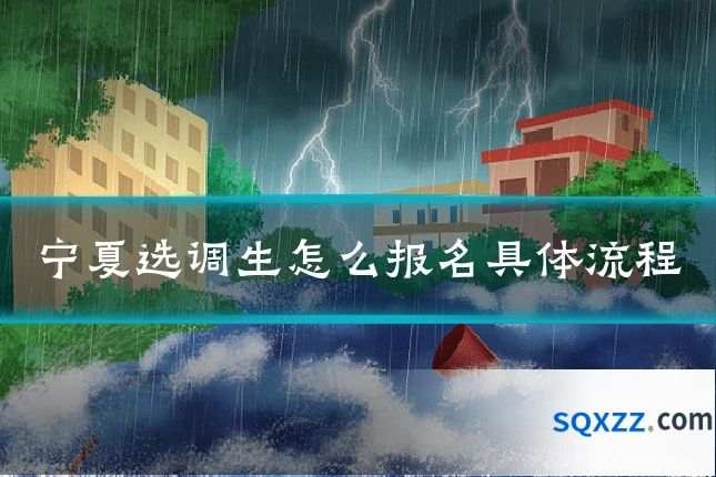 宁夏选调生怎么报名具体流程