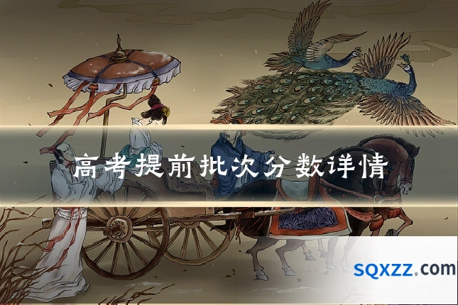 高考提前批次分数详情