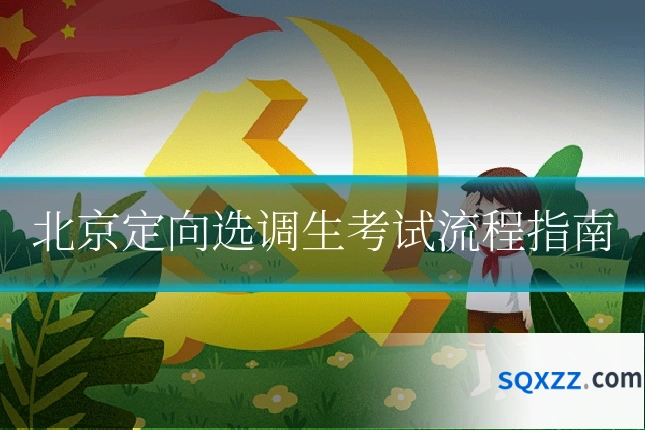 北京定向选调生考试流程指南
