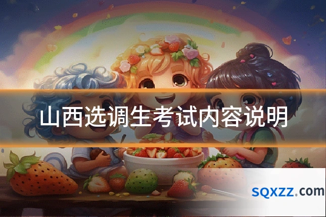 山西选调生考试内容说明