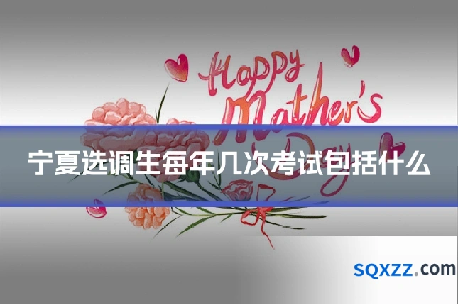 宁夏选调生每年几次考试包括什么