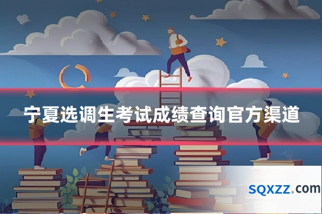 宁夏选调生考试成绩查询官方渠道
