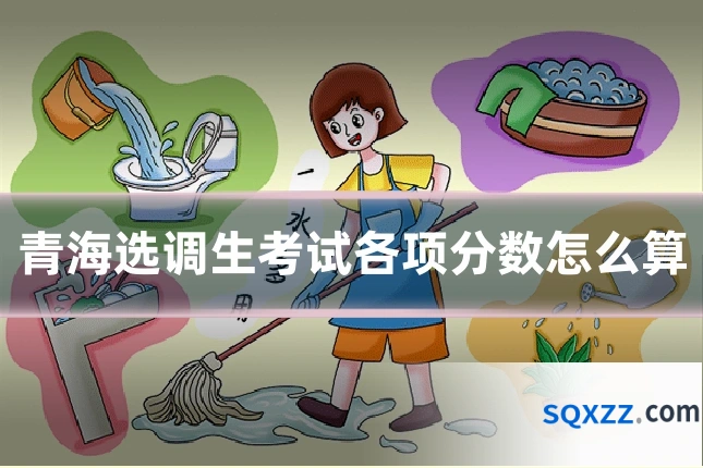 青海选调生考试各项分数怎么算