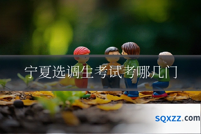 宁夏选调生考试考哪几门