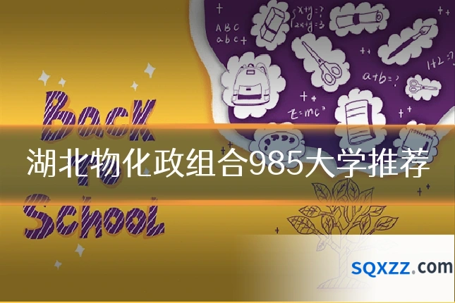 湖北物化政组合985大学推荐