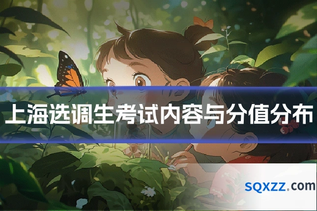 上海选调生考试内容与分值分布