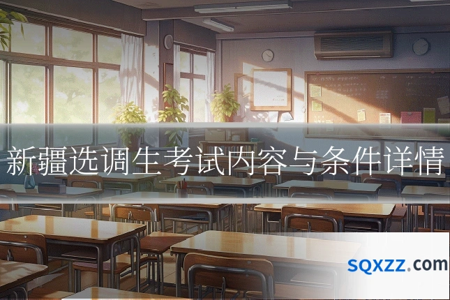 新疆选调生考试内容与条件详情