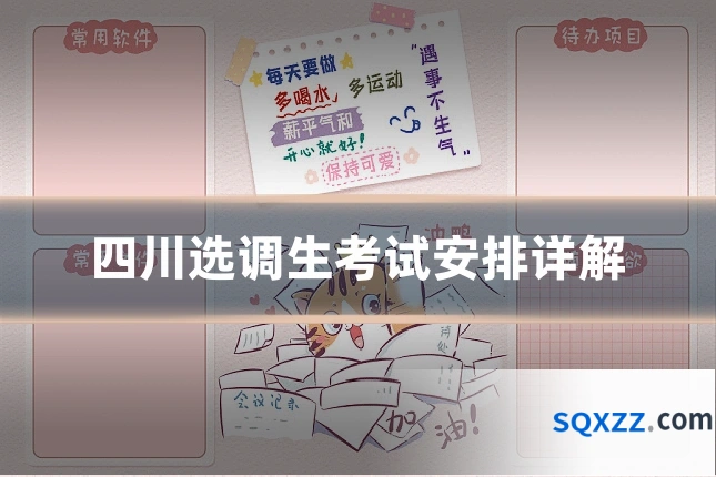 四川选调生考试安排详解