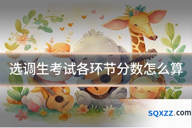 选调生考试各环节分数怎么算