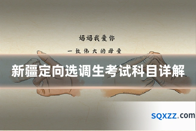 新疆定向选调生考试科目详解