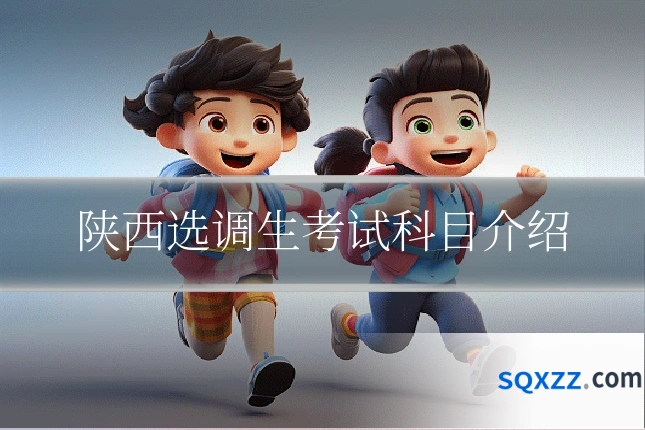 陕西选调生考试科目介绍