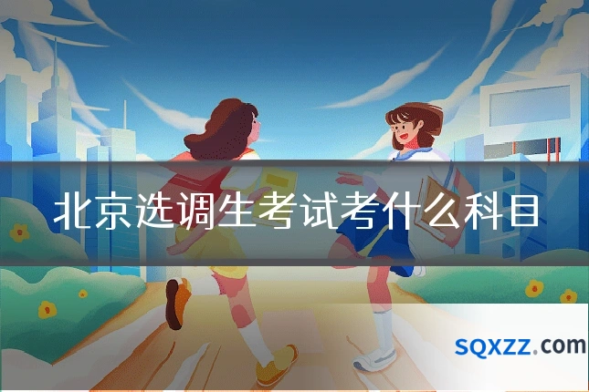北京选调生考试考什么科目