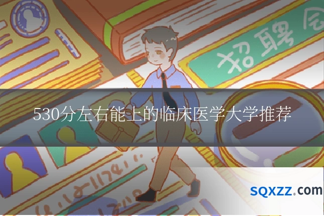 530分左右能上的临床医学大学推荐