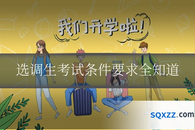 选调生考试条件要求全知道