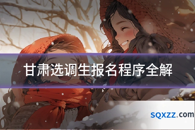 甘肃选调生报名程序全解