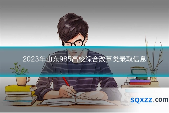 2023年山东985高校综合改革类录取信息