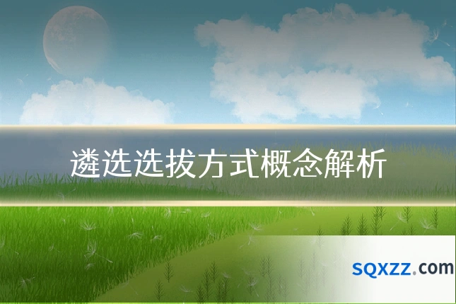 遴选选拔方式概念解析