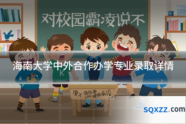 海南大学中外合作办学专业录取详情