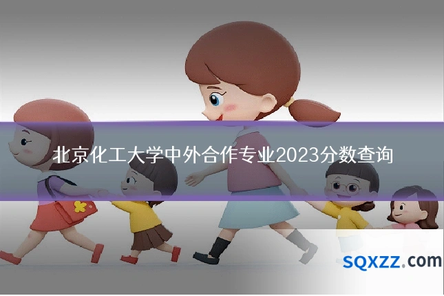 北京化工大学中外合作专业2023分数查询