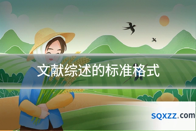 文献综述的标准格式