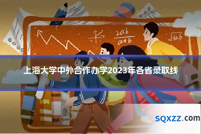 上海大学中外合作办学2023年各省录取线