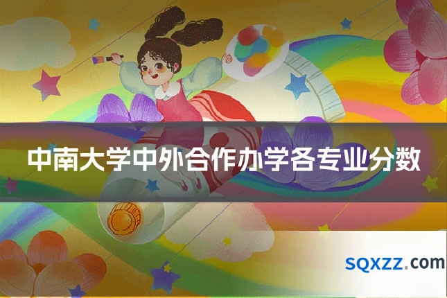 中南大学中外合作办学各专业分数