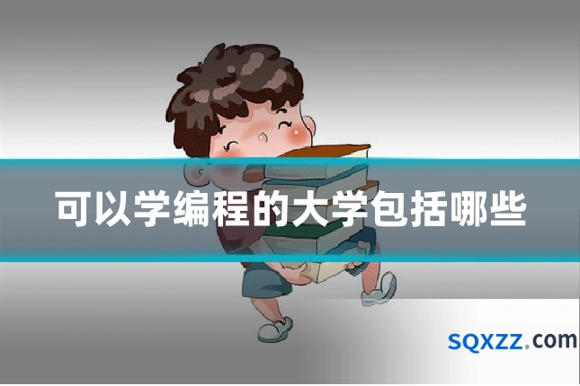 可以学编程的大学包括哪些