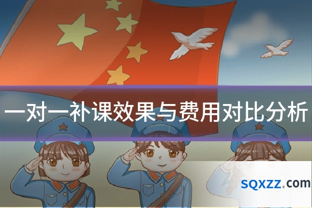 一对一补课效果与费用对比分析