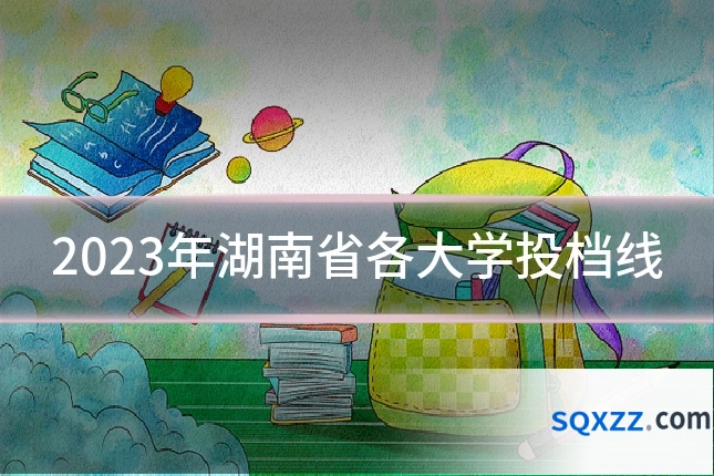 2023年湖南省各大学投档线
