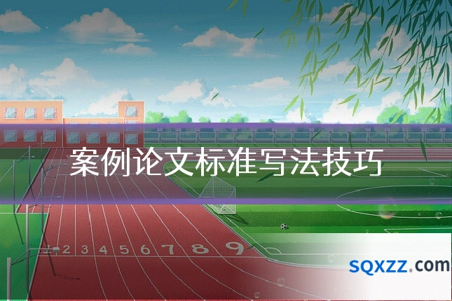 案例论文标准写法技巧